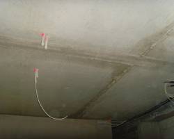 SNV34888.jpg