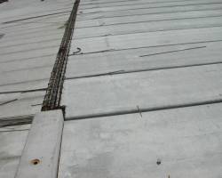 DSCN2515.jpg